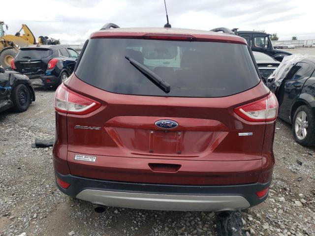Photo 6 from auction – 2014 FORD ESCAPE SE with VIN 1FMCU9GX8EUC80612