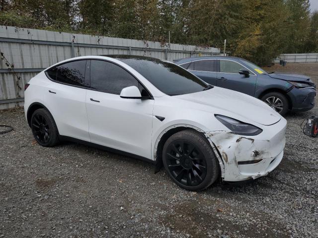 Photo 4 from auction – 2023 TESLA MODEL Y with VIN 7SAYGDEEXPF807215