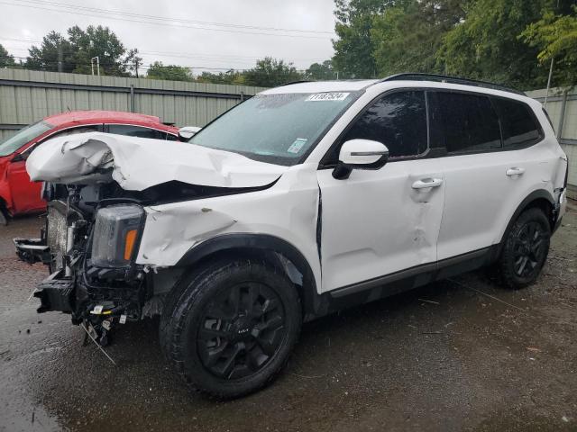 KIA TELLURIDE 2023 with VIN 5XYP5DGC0PG349560 - Photo from auction