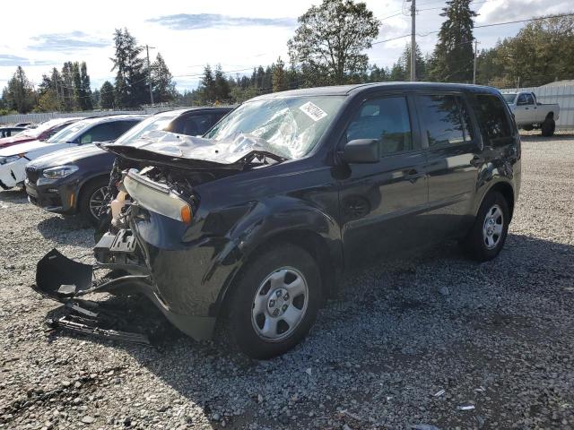HONDA PILOT LX 2013 with VIN 5FNYF4H25DB004020 - Photo from auction