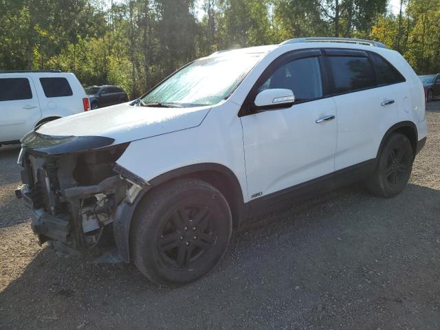 KIA SORENTO LX 2014 with VIN 5XYKTDA77EG506199 - Photo from auction