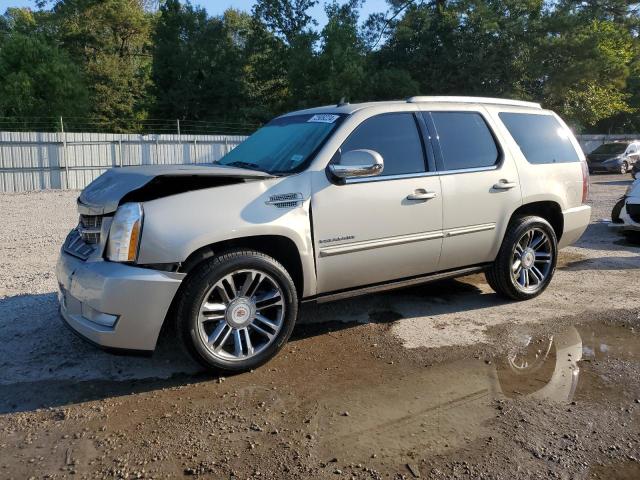 CADILLAC ESCALADE P 2013 с VIN 1GYS4CEF5DR264063 - Снимка от търг