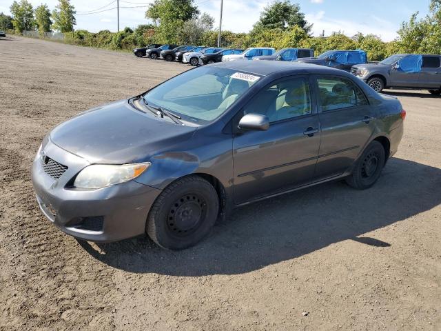 TOYOTA COROLLA BA 2009 with VIN 2T1BU40E29C059036 - Photo from auction