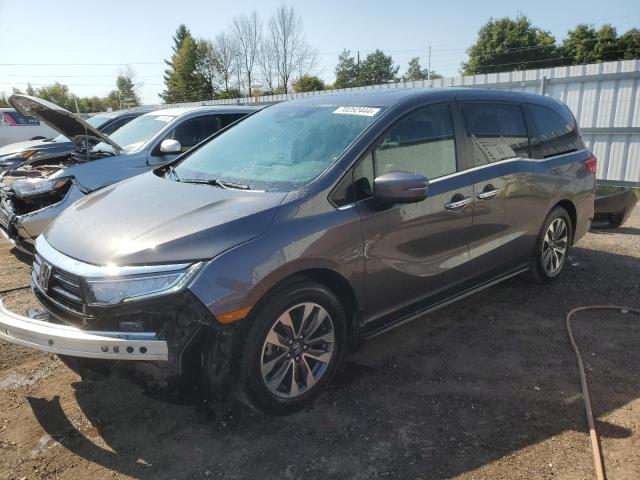 HONDA ODYSSEY EX 2022 with VIN 5FNRL6H66NB501140 - Photo from auction