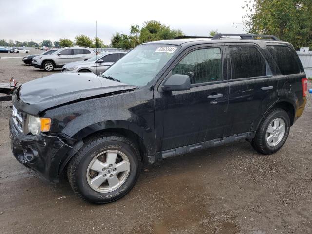 FORD ESCAPE XLT 2012 with VIN 1FMCU0DG0CKC31395 - Photo from auction