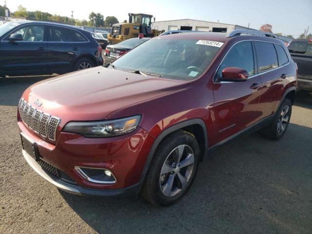 JEEP CHEROKEE L 2019 with VIN 1C4PJMDN9KD149205 - Photo from auction