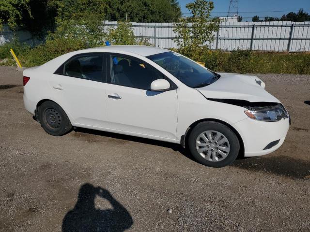 Photo 4 from auction – 2010 KIA FORTE LX with VIN KNAFT4A29A5150182