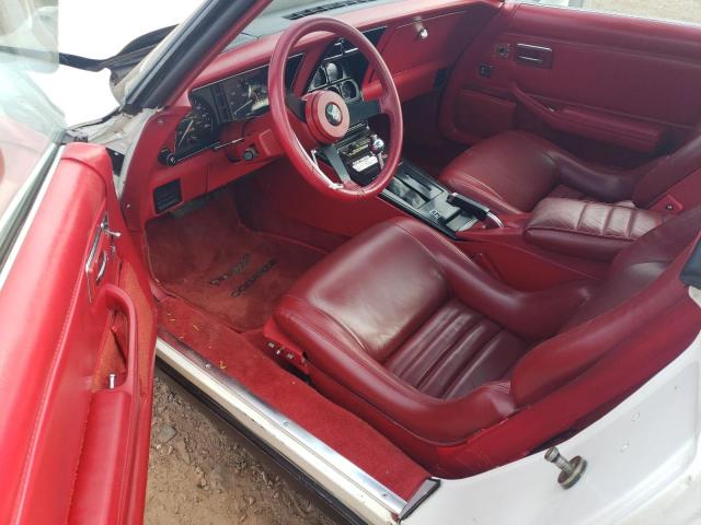 Photo 8 from auction – 1981 CHEVROLET CORVETTE with VIN 1G1AY8769BS428669