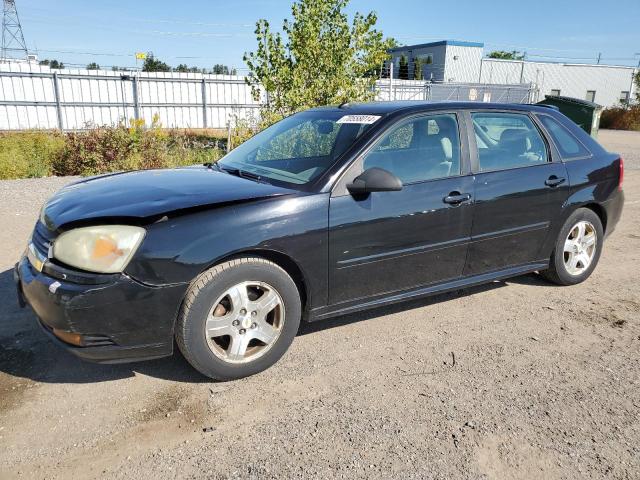CHEVROLET MALIBU MAX 2005 with VIN 1G1ZU648X5F169339 - Photo from auction
