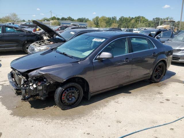 CHEVROLET MALIBU LS 2010 with VIN 1G1ZB5EB9AF274958 - Photo from auction