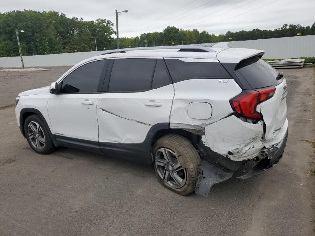 Photo 2 from auction – 2020 GMC TERRAIN SL with VIN 3GKALPEV5LL293494