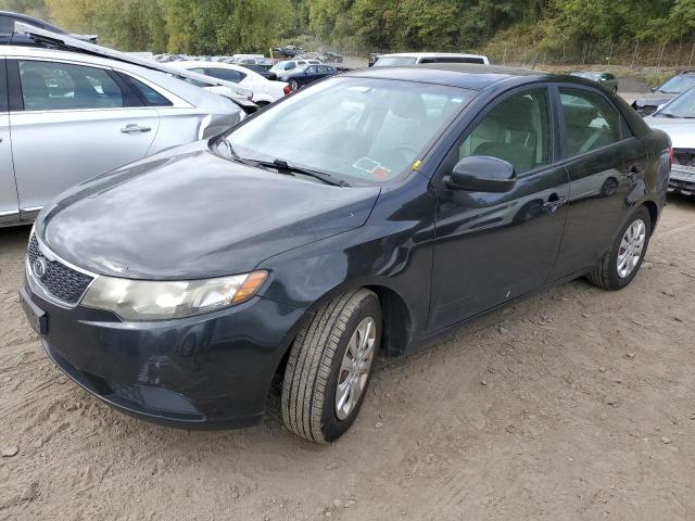 KIA FORTE EX 2013 with VIN KNAFU4A22D5741388 - Photo from auction