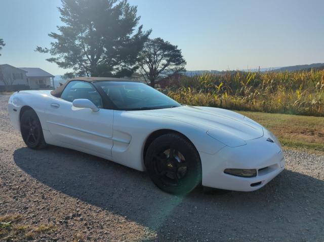 CHEVROLET CORVETTE 2004 with VIN 1G1YY32G445113006 - Photo from auction