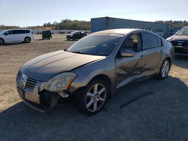 NISSAN MAXIMA SE 2006 with VIN 1N4BA41E76C846419 - Photo from auction