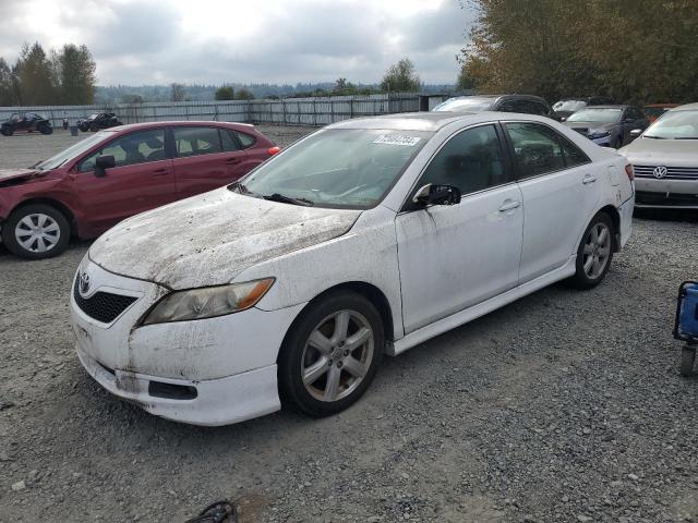 TOYOTA CAMRY BASE 2009 with VIN 4T1BE46K39U850216 - Photo from auction