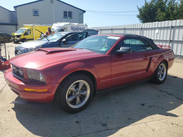 Photo 1 from auction – 2006 FORD MUSTANG with VIN 1ZVHT84N565201190