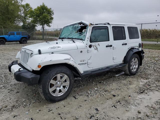 JEEP WRANGLER U 2016 with VIN 1C4BJWEG5GL214943 - Photo from auction