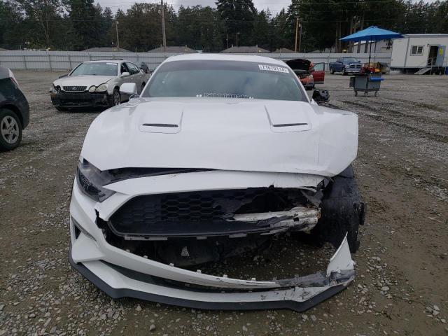 Photo 5 from auction – 2019 FORD MUSTANG with VIN 1FA6P8TH0K5135626