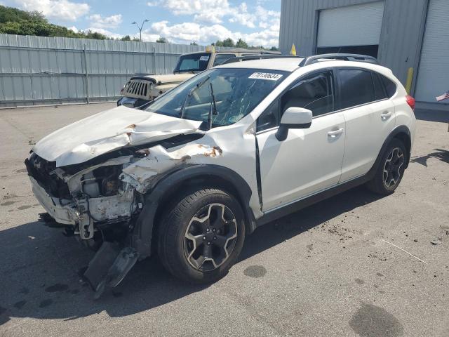 SUBARU XV CROSSTR 2013 with VIN JF2GPAGCXD2883049 - Photo from auction