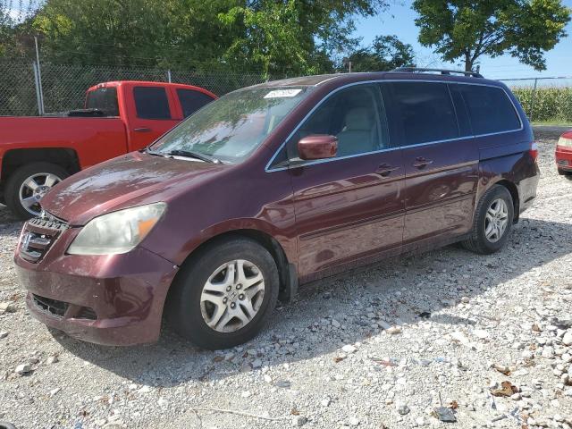 HONDA ODYSSEY EX 2007 with VIN 5FNRL38797B140464 - Photo from auction