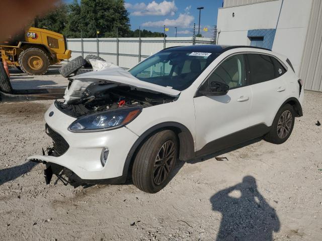 FORD ESCAPE SEL 2021 with VIN 1FMCU0H69MUB09898 - Photo from auction