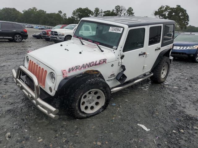 JEEP WRANGLER U 2017 with VIN 1C4BJWDG0HL696806 - Photo from auction