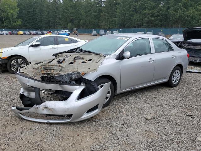 TOYOTA COROLLA BA 2010 with VIN 2T1BU4EE7AC383208 - Photo from auction