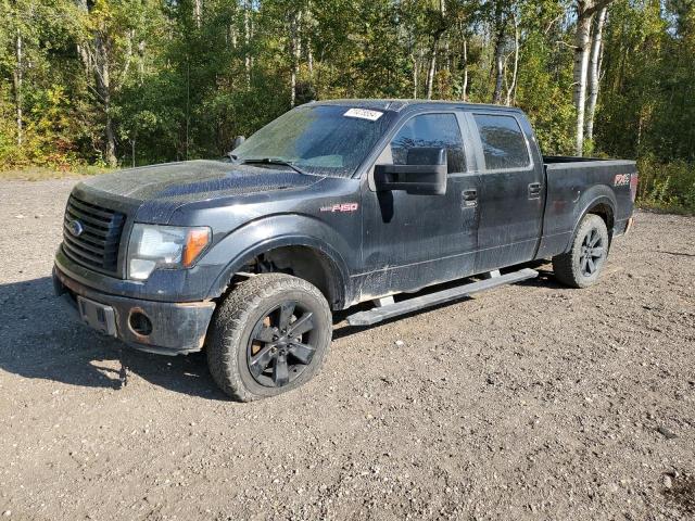 FORD F150 SUPER 2012 with VIN 1FTFW1ET9CFC45110 - Photo from auction