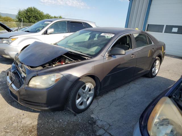 Photo 1 from auction – 2010 CHEVROLET MALIBU LS with VIN 1G1ZB5EB7A4165796