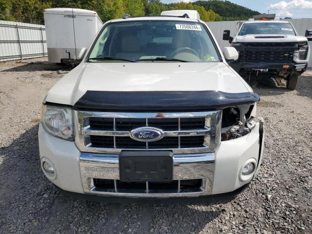 Photo 5 from auction – 2011 FORD ESCAPE LIM with VIN 1FMCU9EG6BKB11666