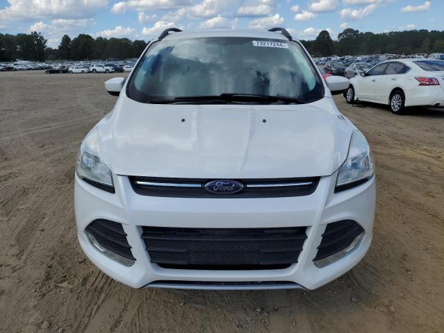 Photo 5 from auction – 2014 FORD ESCAPE SE with VIN 1FMCU0GXXEUB22915
