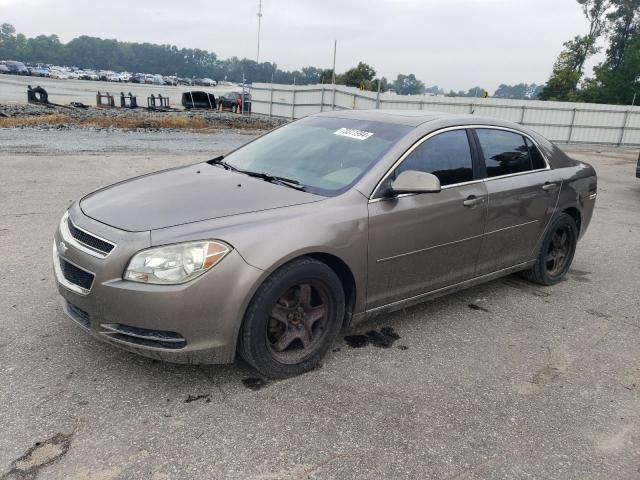 CHEVROLET MALIBU 1LT 2011 with VIN 1G1ZC5E19BF347591 - Photo from auction