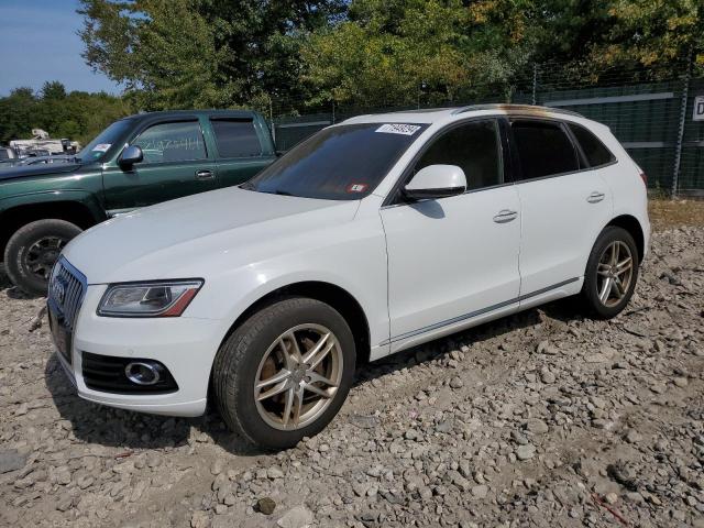 AUDI Q5 PREMIUM 2017 with VIN WA1L2AFP6HA094127 - Photo from auction