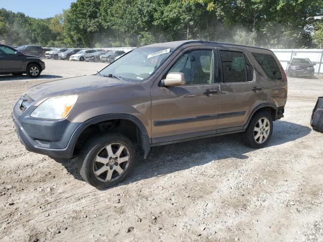 HONDA CR-V EX 2002 with VIN SHSRD78842U012325 - Photo from auction