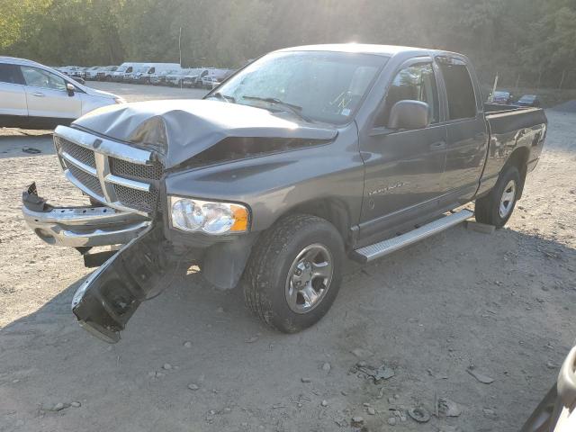 DODGE RAM 1500 2002 with VIN 3B7HU18N02G107349 - Photo from auction