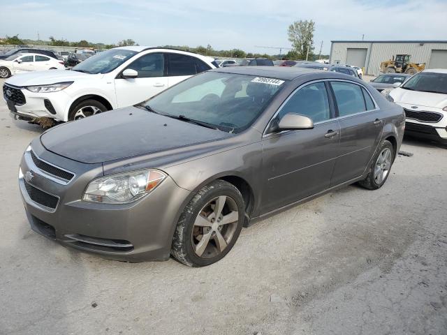 CHEVROLET MALIBU 1LT 2011 with VIN 1G1ZC5E17BF351509 - Photo from auction