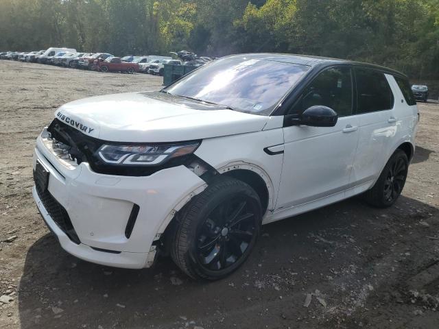 LAND ROVER DISCOVERY 2020 with VIN SALCT2FXXLH865514 - Photo from auction
