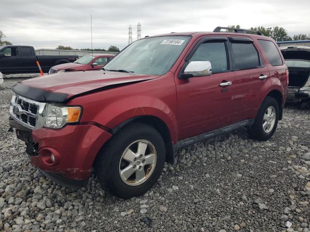 FORD ESCAPE XLT 2012 with VIN 1FMCU0D73CKA48427 - Photo from auction