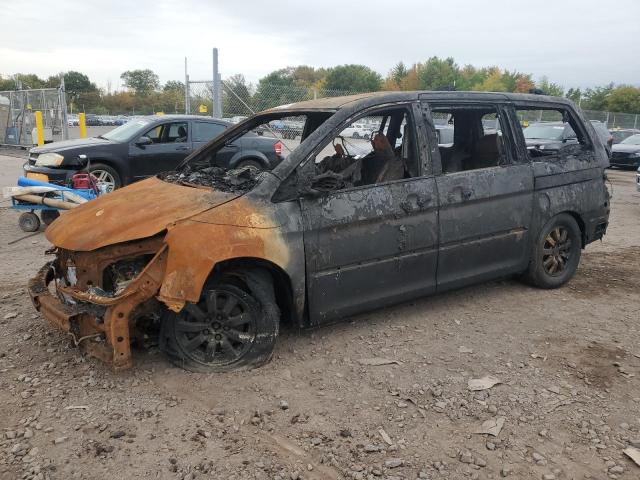 HONDA ODYSSEY EX 2008 with VIN 5FNRL38468B000606 - Photo from auction