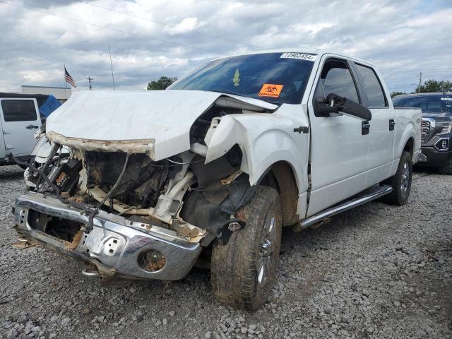 Photo 1 from auction – 2010 FORD F150 SUPER with VIN 1FTFW1EV5AFC94948