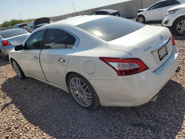 Photo 2 from auction – 2009 NISSAN MAXIMA S with VIN 1N4AA51E09C845702