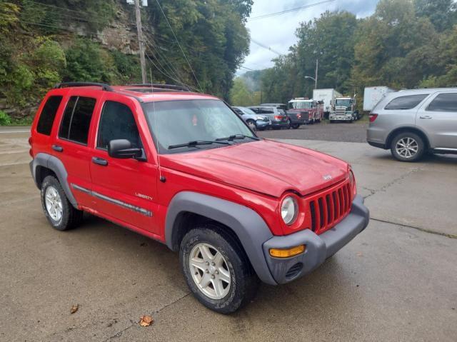 JEEP LIBERTY SP 2004 with VIN 1J4GL48K64W138030 - Photo from auction
