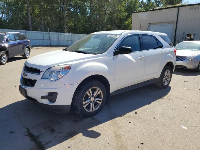 CHEVROLET EQUINOX LS 2013 with VIN 2GNFLCEKXD6282195 - Photo from auction