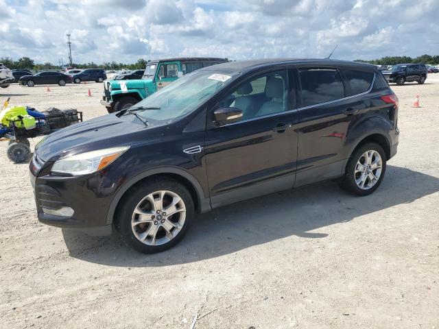 FORD ESCAPE SEL 2013 with VIN 1FMCU9HX6DUB36862 - Photo from auction