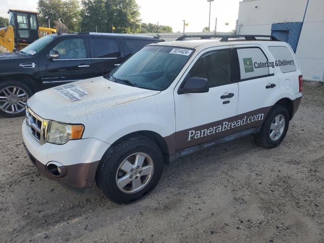 FORD ESCAPE XLT 2011 with VIN 1FMCU0DG6BKC03129 - Photo from auction