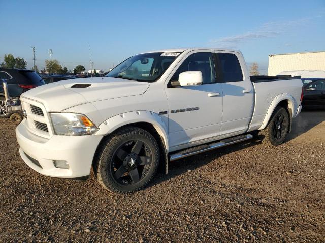 DODGE RAM 1500 2011 with VIN 1D7RV1GTXBS645833 - Photo from auction