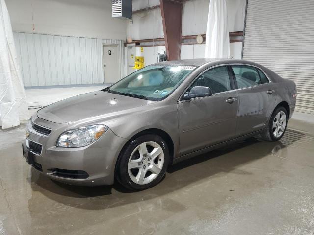 CHEVROLET MALIBU LS 2011 with VIN 1G1ZB5E13BF231080 - Photo from auction