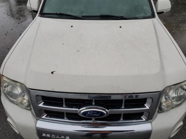 Photo 12 from auction – 2010 FORD ESCAPE LIM with VIN 1FMCU0E77AKB79453