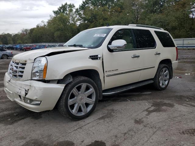 CADILLAC ESCALADE L 2008 with VIN 1GYFK63868R203663 - Photo from auction