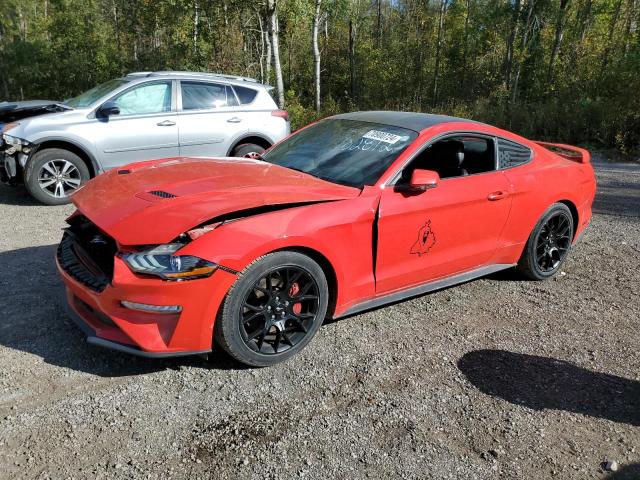 Photo 1 from auction – 2019 FORD MUSTANG with VIN 1FA6P8TH8K5102812